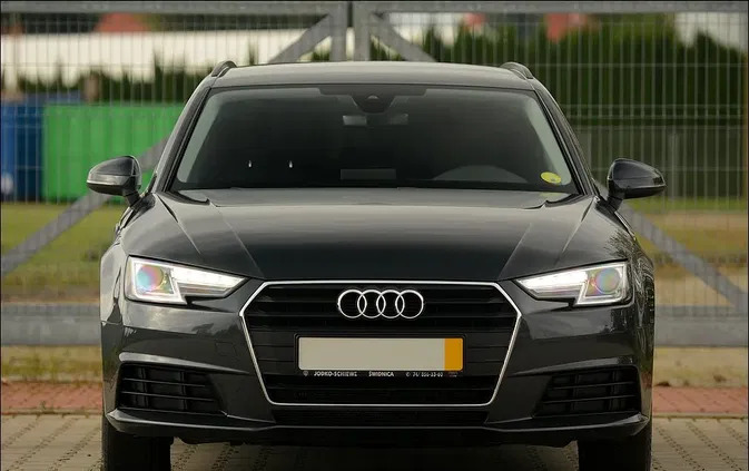 audi Audi A4 cena 67800 przebieg: 178843, rok produkcji 2017 z Świdnica